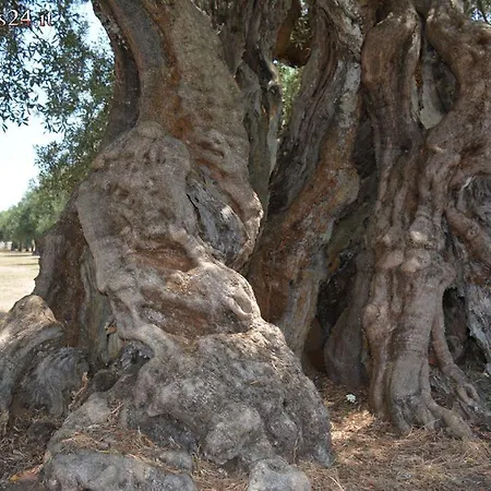 Monolocale Nizza * טביאנו