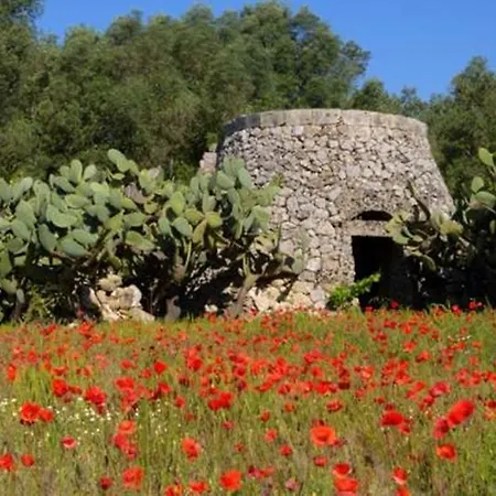 Monolocale Nizza טביאנו